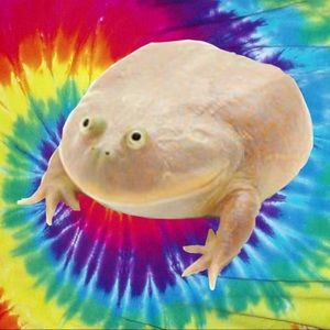 Meet your Posher, Lillian